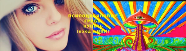 apvp Иннополис