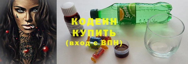 apvp Иннополис
