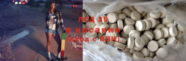 apvp Иннополис