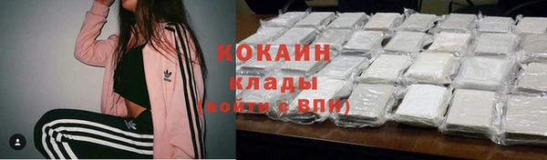 apvp Иннополис