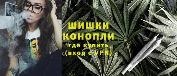 apvp Иннополис