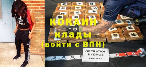 apvp Иннополис