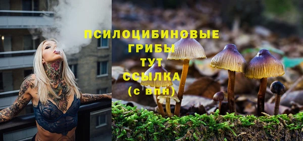 apvp Иннополис