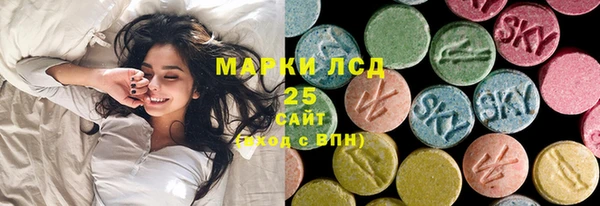 apvp Иннополис