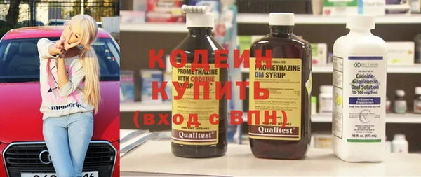apvp Иннополис